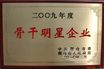 DICC荣获烟台市“企业综合考评先进集体”荣誉称号